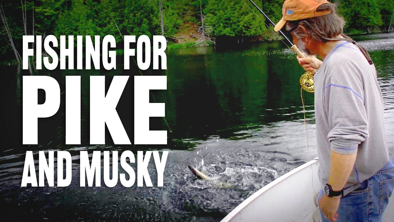How to Fly Fish for Musky & Pike with Tom Rosenbauer - The New Fly Fisher