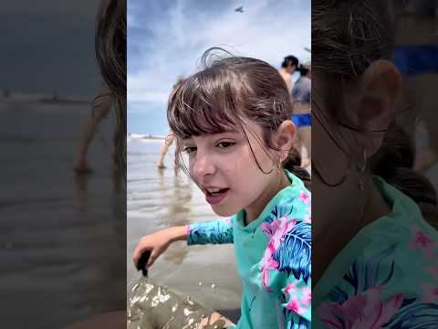 FOMOS PRA PRAIA…de CALÇA ⁉️😳#shorts #humor #viralshorts