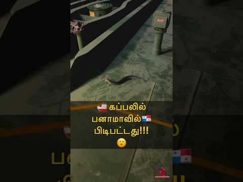 🚢 கப்பலில் பனாமாவில் 🇵🇦 பிடிபட்டது!!! 😮 Sail With Sakthi