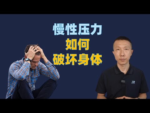 慢性压力如何破坏身体（细胞层面）