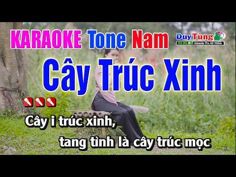 Karaoke || Cây Trúc Xinh – Tone Nam || Nhạc Sống Duy Tùng