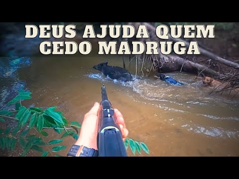 NA CABEÇA É FATAL! - CONTROLE DE JAVALI - JAVALI BRASIL