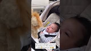 see how shine boy love his lion🦁🦁🦁🦁🦁🧒