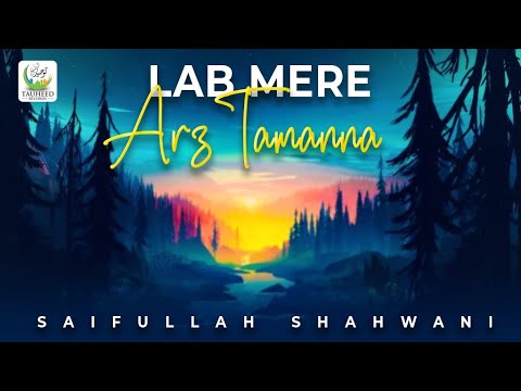 Lab Mere Arz Tamanna | Beautiful Kalam By Saifullah Shahwani | Lyrical Video | Tauheed Islamic