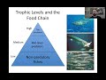 Fish Trophic Levels and Identification