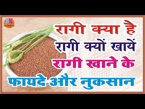 रागी क्या है रागी  खाने के फायदे और नुकसान What is ragi Know the benefits and side effects of ragi
