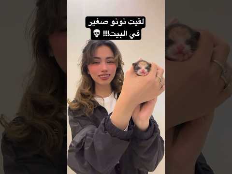 من فين جا ومين الأبو؟؟😭😭 #اكسبلور #ران #زفوتة