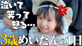 【成長】泣いて笑って怒って…感情が忙しい3歳めいたんの1日Vlog