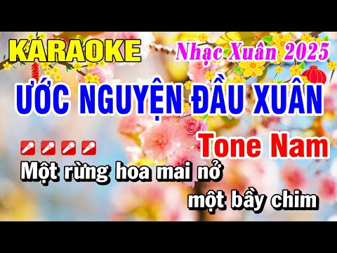 Karaoke Ước Nguyện Đầu Xuân Tone Nam (Cực Xôm) Nhạc Xuân 2025 | Hoài Phong Organ