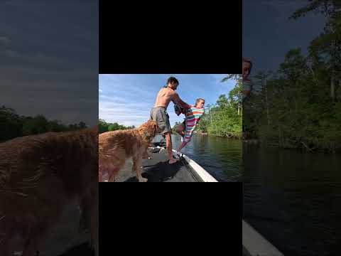 Sheโs just better at it ๐ #youtubeshort #goldenretriever #bassfishing