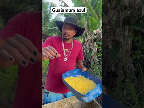 Guaiamum azul #viralvideo