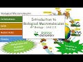 Biological Macromolecules and Reactions