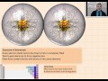 Covalent Bonds and Electron Configuration