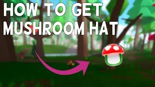 How To Get The Mushroom Hat Vesteria Alpha Videos Infinitube - roblox vesteria mushtown bluesteel chests