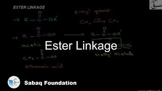 Ester Linkage