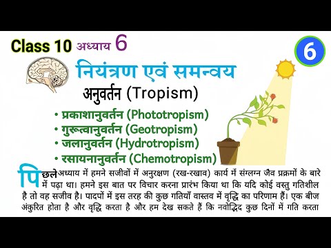 नियंत्रण एवं समन्वय || control and coordination class 10 || niyantran evam samanvay class 10th VOL-6