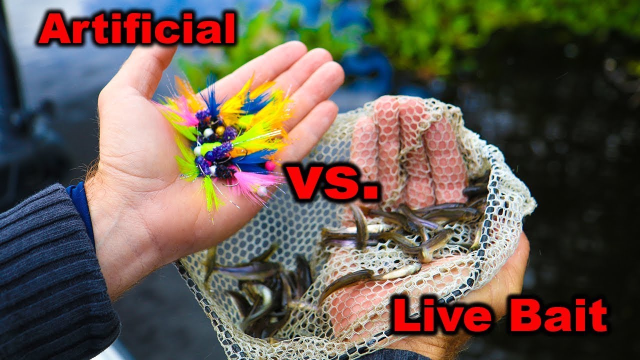 Artificial Vs Live Bait! What Will WIN?