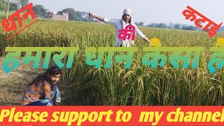 हम लोग क्या काट रहे हैं#we are harvesting #@sawalivlogs222