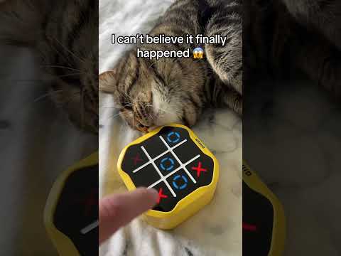 We canโt let it happen again ๐