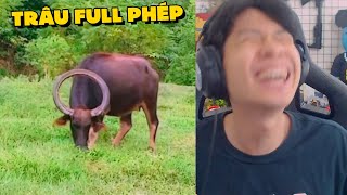 PobbRose TÊ TÊ CÊ CÊ !!! (Pobbrose TTCC) ✔