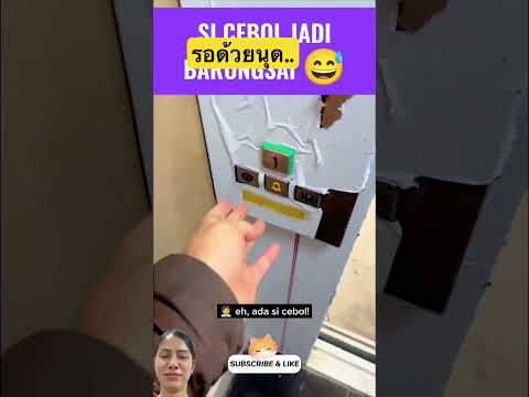 มีงานด่วน..รอด้วยนุด #animals #greenscreen #pets #funny #funnyvideo #cat #cutecat