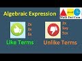 Understanding Algebraic Terms and Expressions