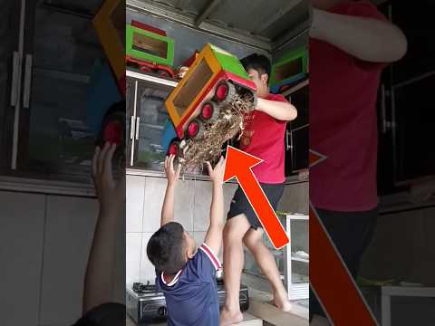 Nemu Sarang Burung Langka Di Belakang Rumah #vlogmini #sarangburung #elzoanvaya #videoshort