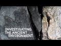 Evolution and Sedimentology Concepts