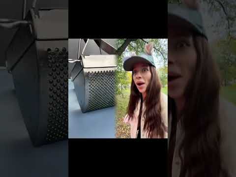 Как отвлечь маму от двойки в дневнике 😀