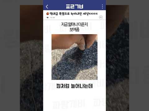 역대급 폭염으로 녹아내린 세상ㄷㄷㄷㄷ