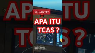 Apa Itu TCAS? #airplane #captainvincent #aviation #aeroplane #aircrew #tcas #aviasi #aircraft