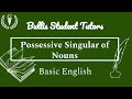 Mastering Possessive Singular Nouns in English