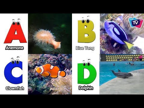 Sea Animals ABC Song for Kids | Learn Alphabet Letters with Nursery Rhymes @Kidsfuna2zTV