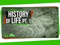 Cyanobacteria and Early Life Forms
