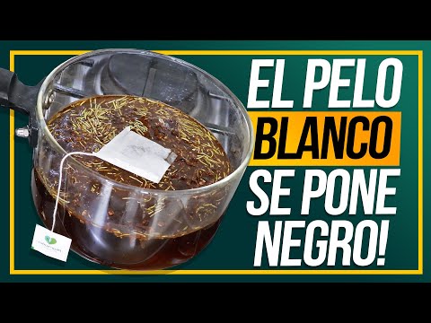 ¡No Más Canas! Mezcla Café con Romero y Olvídate del Tinte