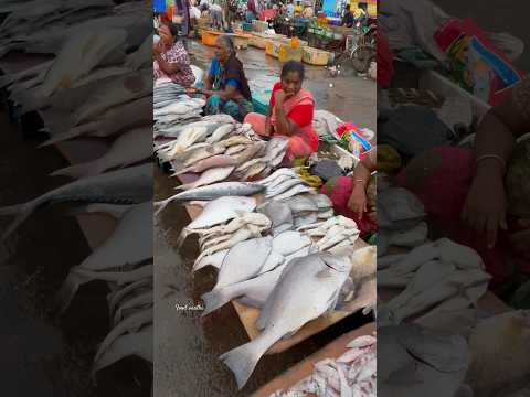 Kasimedu meenu maa 💢❤️‍🔥 🐟 fresh Fish 🐟 🐠🔥