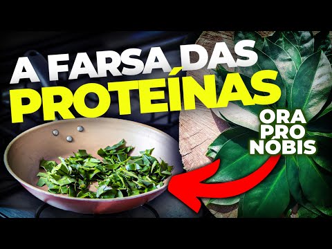 ORA-PRO-NÓBIS: É TÃO BOM QUANTO DIZEM?