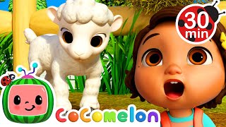 Baby Animal Dance | with Nina and JJ | Cocomelon Nursery Rhymes for Kids