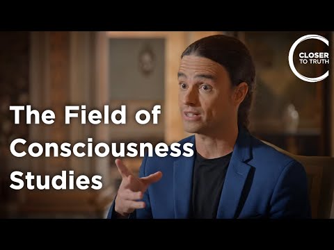 Alex Gómez-Marín - The Field of Consciousness Studies