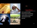 Workplace Health and Safety Protocols