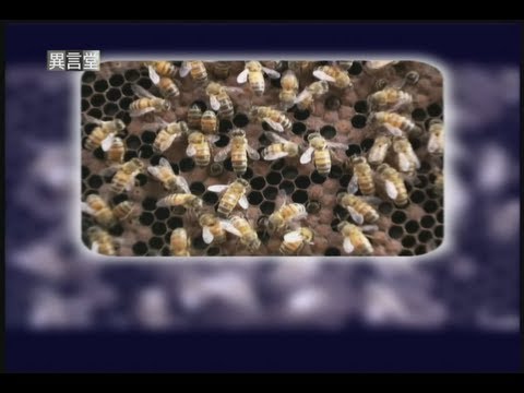 2012.08.25【民視異言堂】蜜蜂消失事件簿（三） - YouTube(16分40秒)