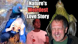 The Science Behind Why Birds Find Us Attractive