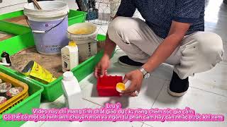 Thực phẩm chức năng bổ sung dinh dưỡng cần thiết cho gia cầm và top hoa hậu quốc tế 18/8/25