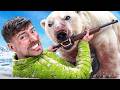 Surviving Antarctica: A 50-Hour Challenge