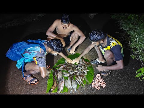 कोकणातील पावसाळ्यातील मासेमारी , नदीमध्ये गेलो हात जाळ्याने मासे पकडायला  | Kokan fishing @TejaGurav