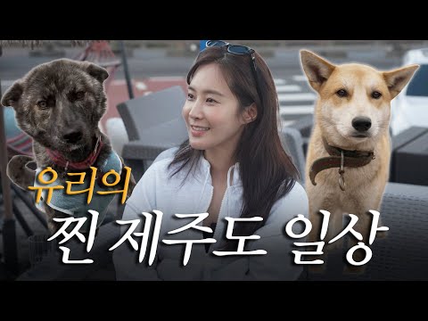 유리는 제주도에서 이렇게 삽니다🐶🌴