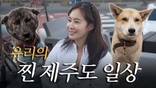 유리는 제주도에서 이렇게 삽니다🐶🌴