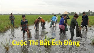 1648 / Vui nhộn với trò chơi bắt ếch ngoài đồng
