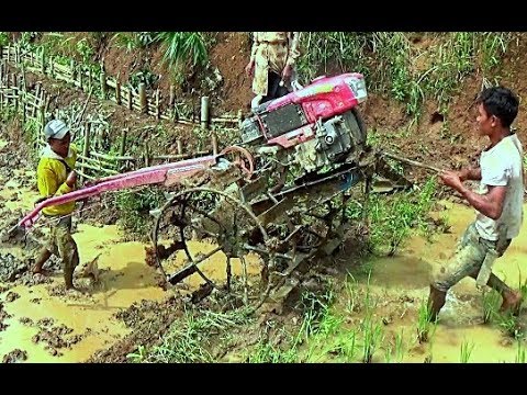 Kumpulan Traktor Sawah pindah lahan
