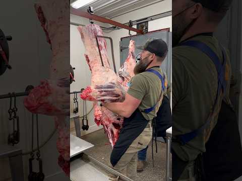 Beef Brisket: The king of barbecue 🔪🐂 #shorts #beef #brisket #butcher #butchering